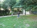 samedi (2).jpg